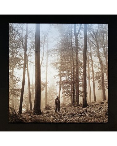 SWIFT TAYLOR: FOLKLORE 2LP