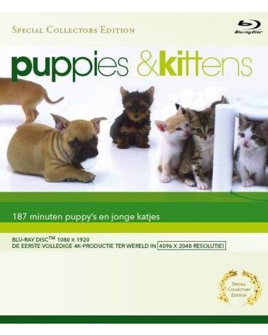 SPECIAL INTEREST: PUPPIES & KITTENS Blu-ray Video