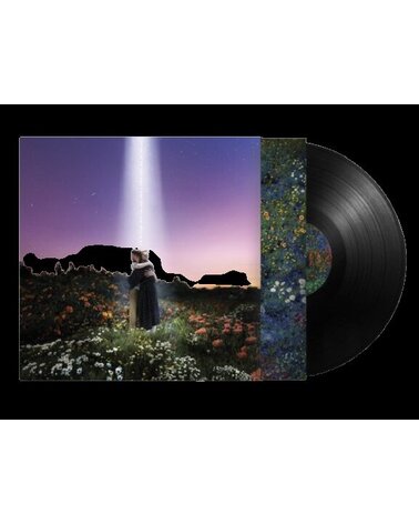 HONNE: LET'S JUST SAY THE WORLD ENDED A WEEK FROM NOW, WHAT WOULD YOU DO? 1LP