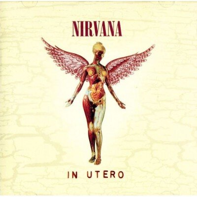 NIRVANA: IN UTERO-20TH ANNIVERSARY CD