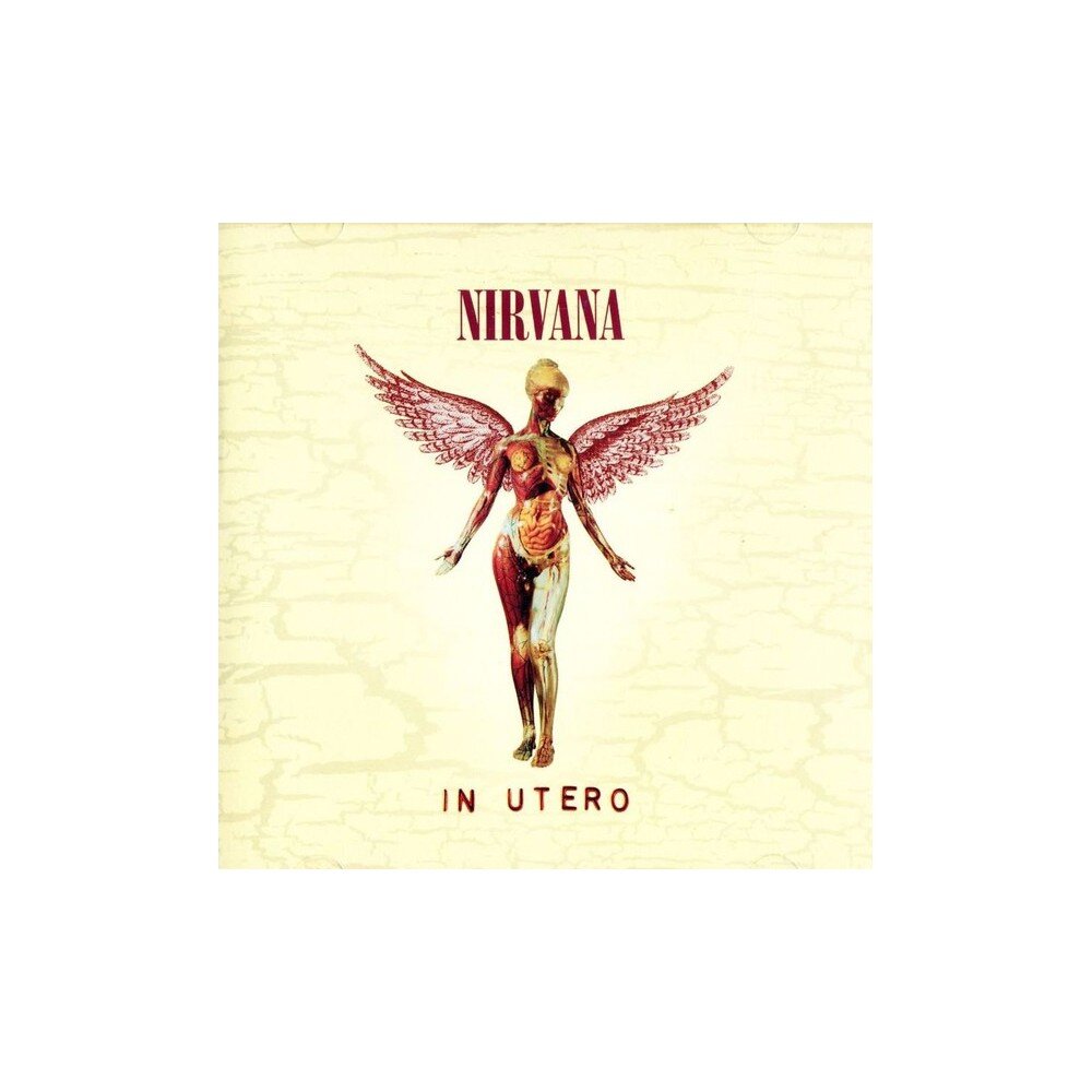 NIRVANA: IN UTERO-20TH ANNIVERSARY CD