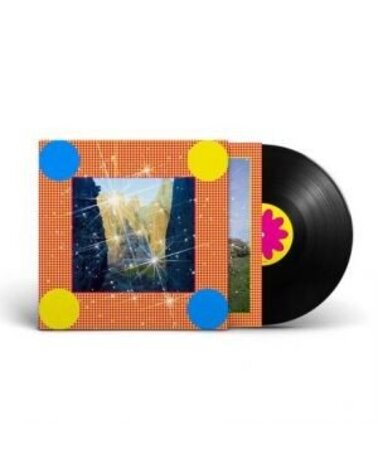 CARIBOU: HONEY 1LP