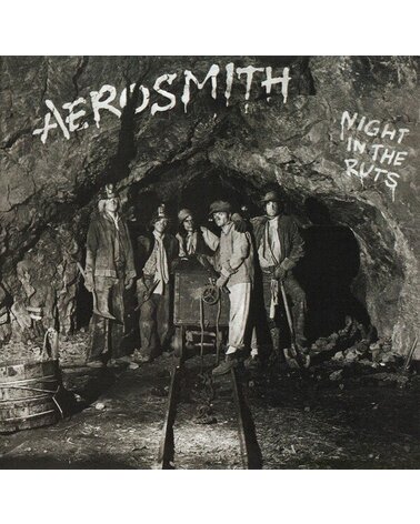 AEROSMITH: NIGHT IN THE RUTS 1CD