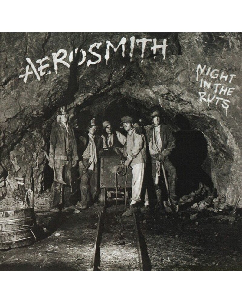 AEROSMITH: NIGHT IN THE RUTS 1CD