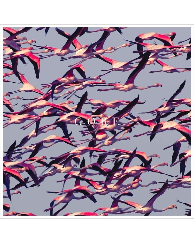 DEFTONES: GORE 2LP