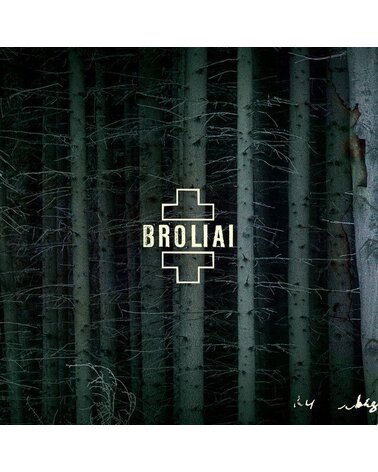 Aistė Smilgevičiūtė Ir Skylė: Broliai 2LP
