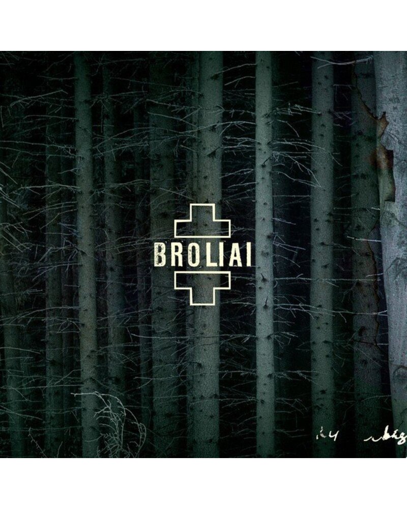 Aistė Smilgevičiūtė Ir Skylė: Broliai 2LP