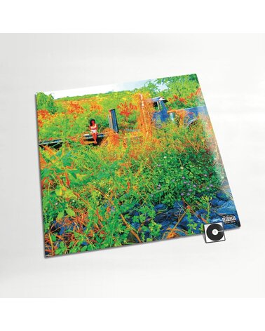 JHENE AIKO: TRIP LP