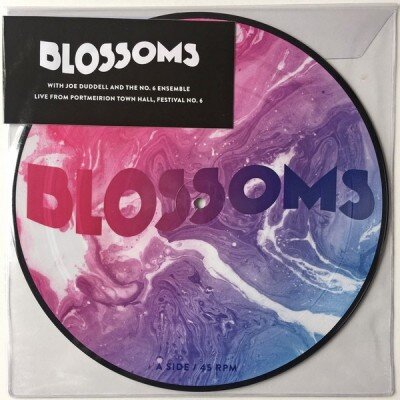BLOSSOMS: UNPLUGGED AT FESTIVAL NO.6 RSD 2017 PICKTURED 10in