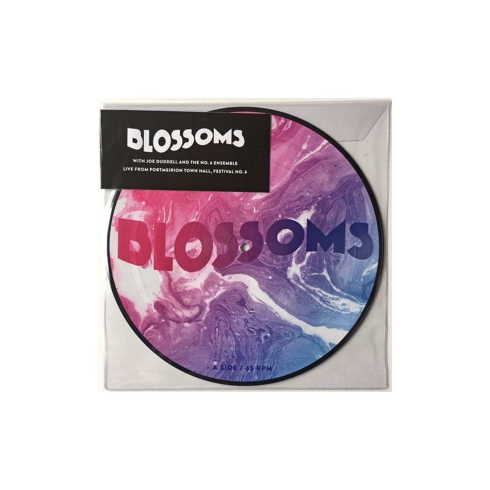 BLOSSOMS: UNPLUGGED AT FESTIVAL NO.6 RSD 2017 PICKTURED 10in
