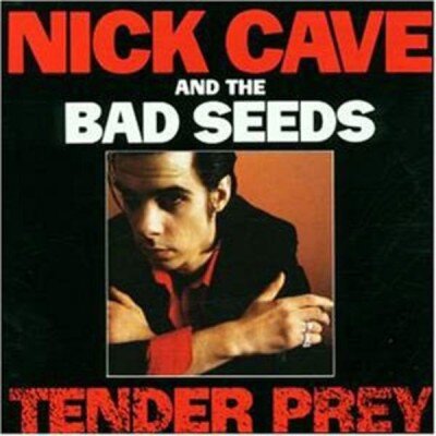 CAVE NICK & BAD SEEDS: TENDER PREY LP