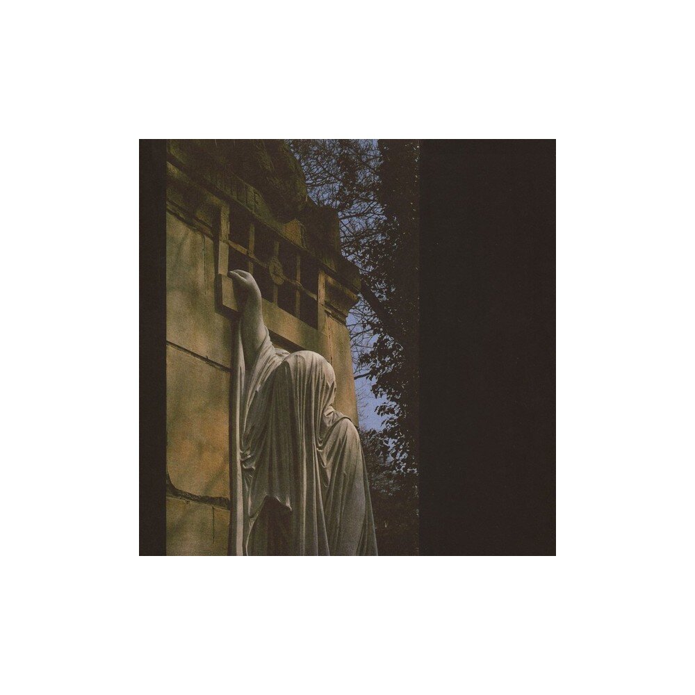 DEAD CAN DANCE: WITHIN THE RAELM OF A DYING SUN LP
