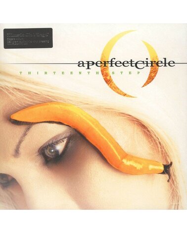 A PERFECT CIRCLE: THIRTEENTH STEP 2LP